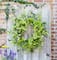 30" Green Oversized Mixed Foliage & Twig Wreath